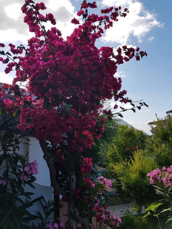Hotel Stella Marina Capo Vaticano Εξωτερικό φωτογραφία